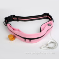 Pouch Walking Jogging Training Retractable Bungee Dog Leash